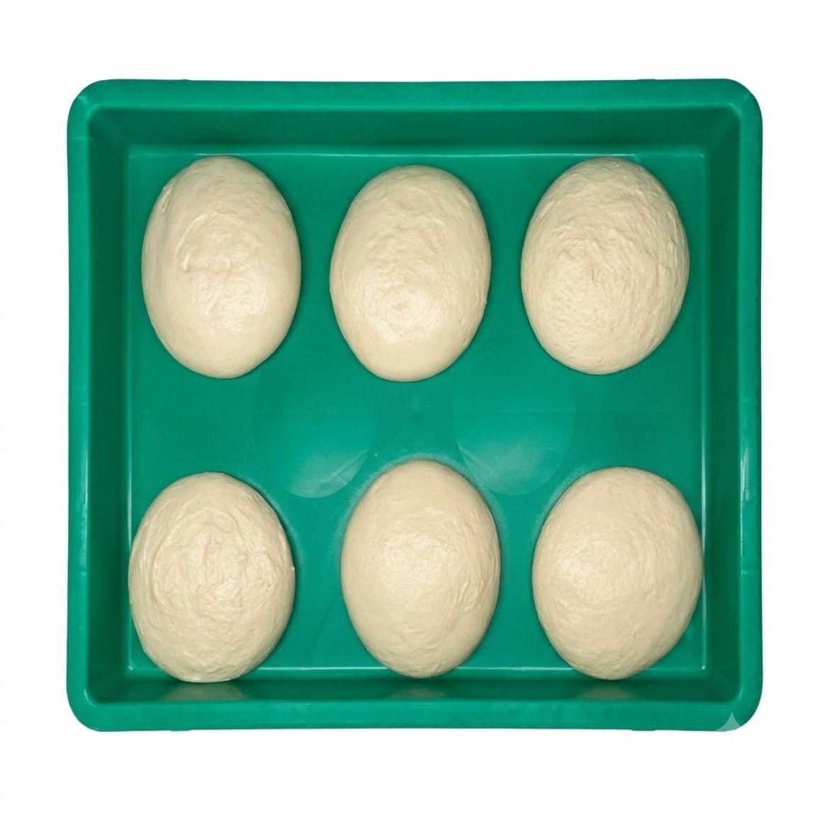 Picture of FRESH DOUGH 23 OZ  6 balls /tray (X-Large)